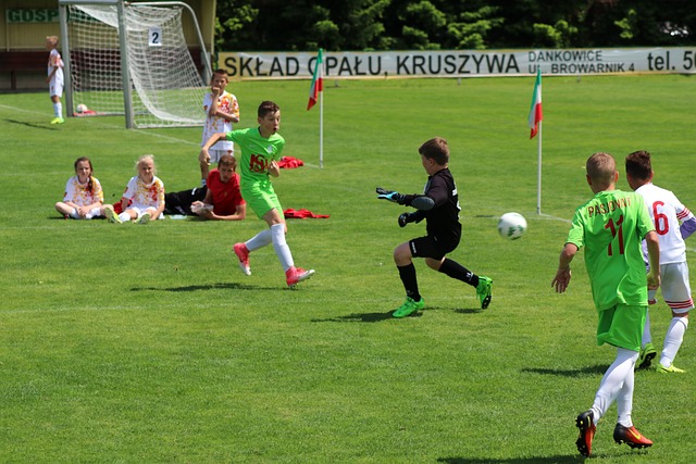 情场景的投 情场景的投