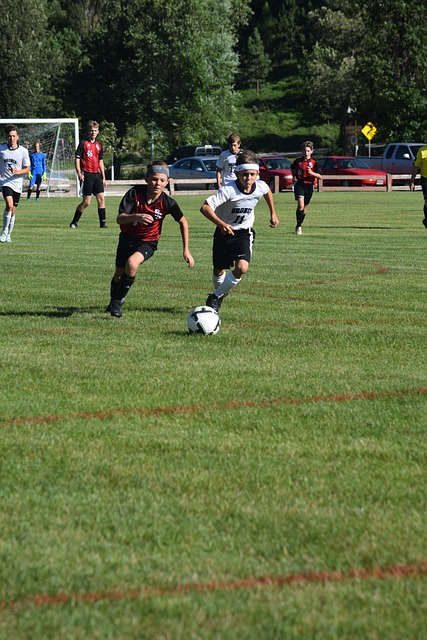 速成熟成为 速成熟成为