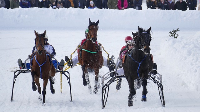 总而言之 总而言之