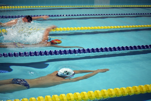 第十届会员 第十届会员