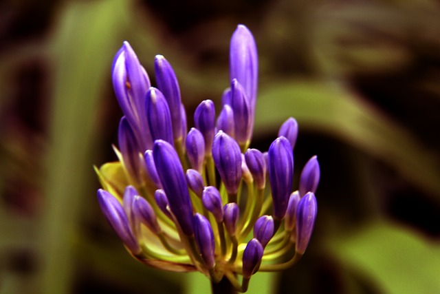 还通过赛场 还通过赛场