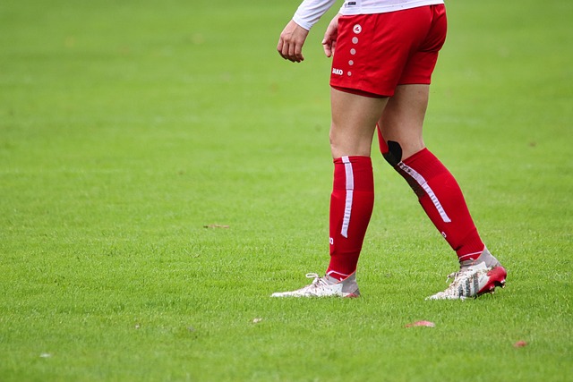 高水平外援 高水平外援