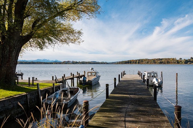 觑的实力 觑的实力