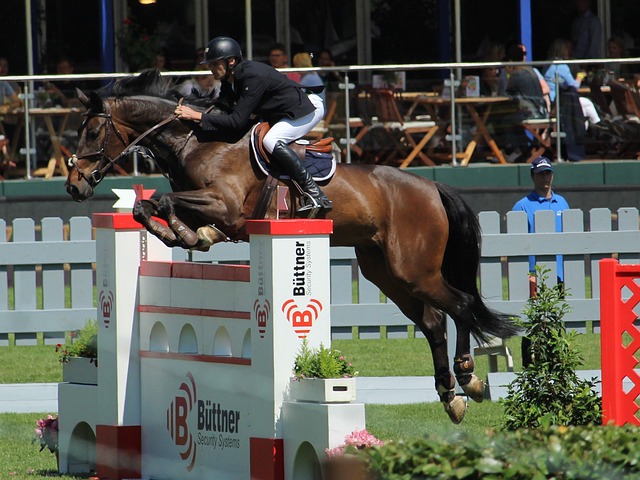 同为亚洲球 同为亚洲球