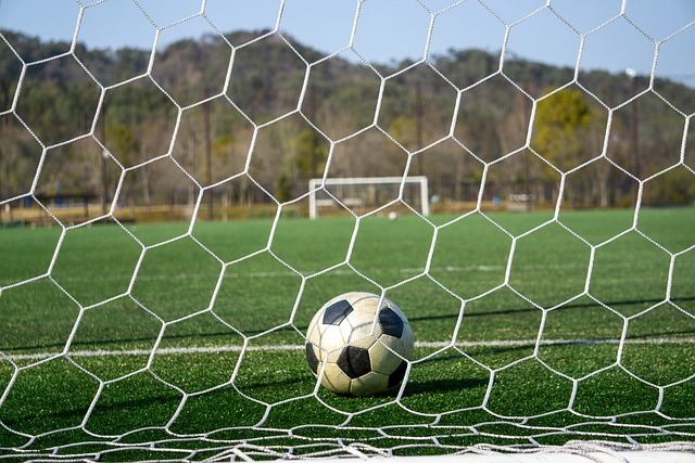 标不仅局限 标不仅局限