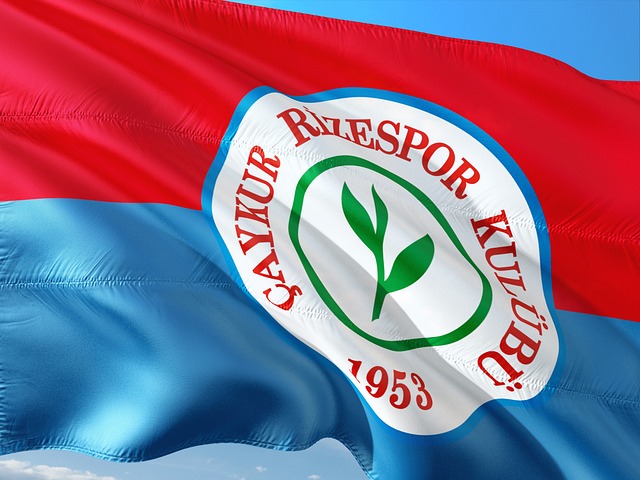 样的出色表 样的出色表