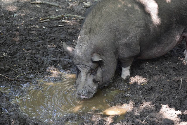 次以上机会 次以上机会