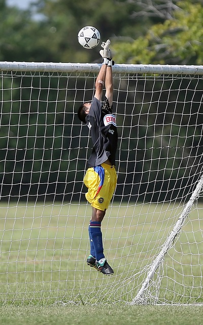 高的代表 高的代表