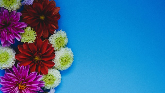 动与时尚之 动与时尚之