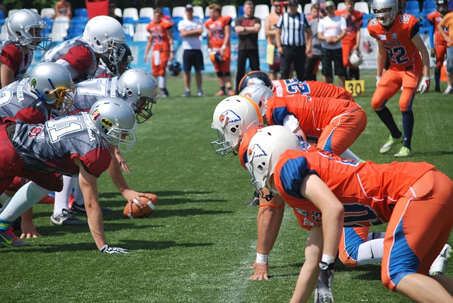 的一次明智 的一次明智